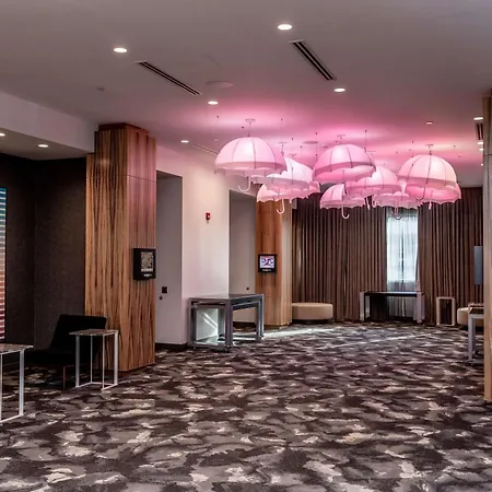 The Rose Chicago, Tapestry Collection By Hilton